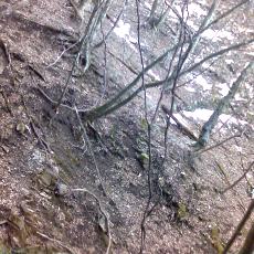 160320_p09.jpg