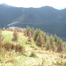 090926_n08.jpg