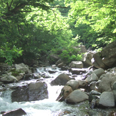 100624_p06.jpg