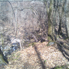 120429_p10.jpg