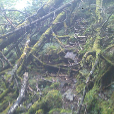 130914_p09.jpg