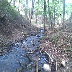 140614_p07.jpg