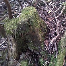140922_p10.jpg