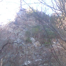 141103_p05.jpg
