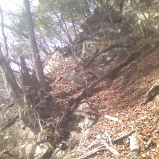 150228_p03.jpg