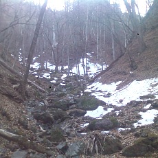 150331_p06.jpg