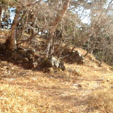 180422_p17.jpg