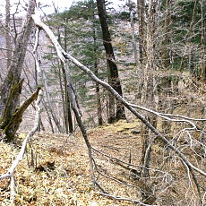 190427_p01.jpg