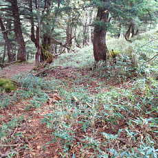 201004_p22.jpg