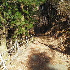 201206_p33.jpg