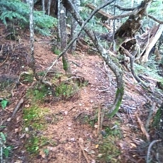 221014_p01.jpg