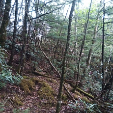 230520_p06.jpg
