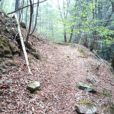 230502_p43.jpg