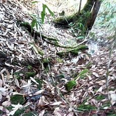 241022_p21.jpg