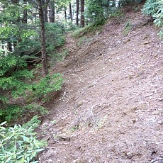 240612_p50.jpg