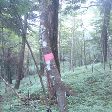 110815_p13.jpg