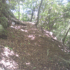 120716_p10.jpg