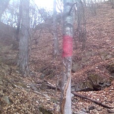 131127_p15.jpg