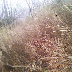 140419_p18.jpg