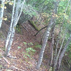 140922_p19.jpg
