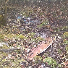 141020_p22.jpg