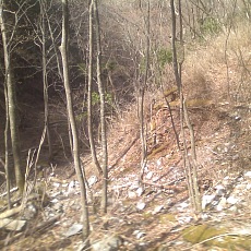 150429_p07.jpg
