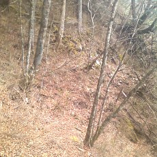 150429_p31.jpg