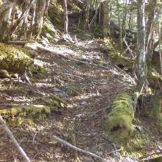 150522_p35.jpg