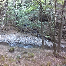 150605_p06.jpg