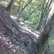 150920-02_p02.jpg