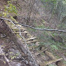 151010_p13.jpg