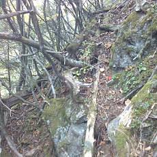 151010_p21.jpg