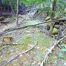 170617_p01.jpg