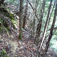 170617_p24.jpg