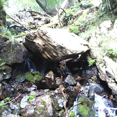 170903_p12.jpg