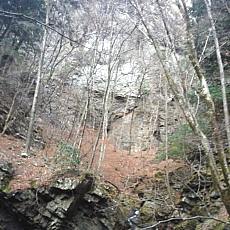 190302_p13.jpg