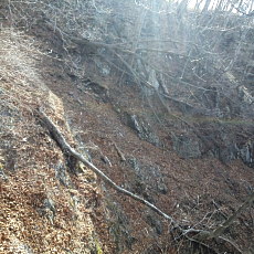 190420_p09.jpg