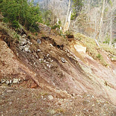 200001_p02.jpg