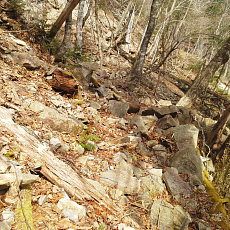 200001_p08.jpg
