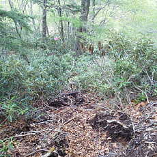 200024_p34.jpg