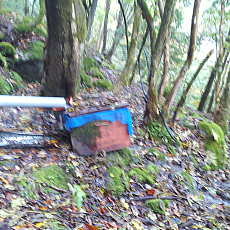 201018_p04.jpg