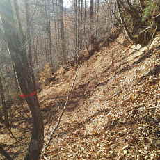 201117_p24.jpg
