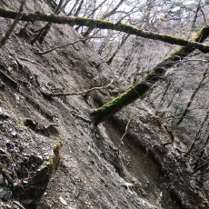 220416_p20.jpg
