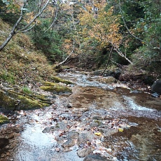 221014_p15.jpg