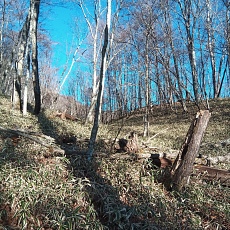 221127_p09.jpg