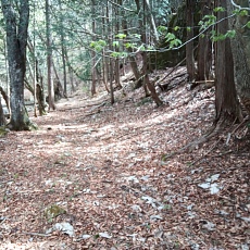 230502_p37.jpg