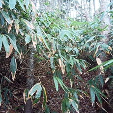 241022_p10.jpg