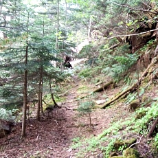 240612_p36.jpg