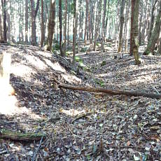 211020_p15.jpg