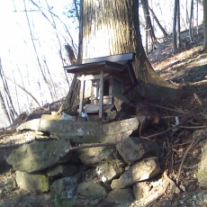110406_p02.jpg